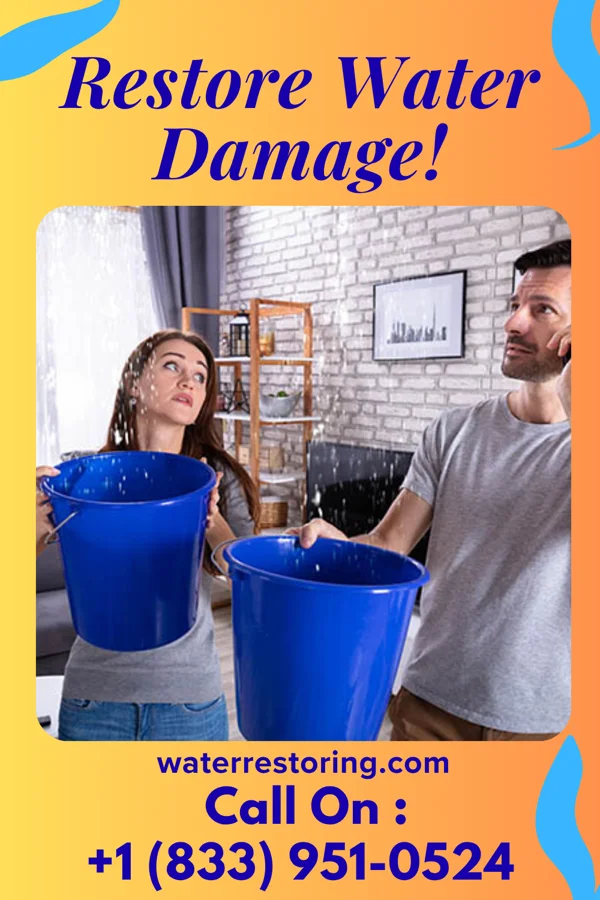 water restoration Ideal Water Removal Professionals El Paso