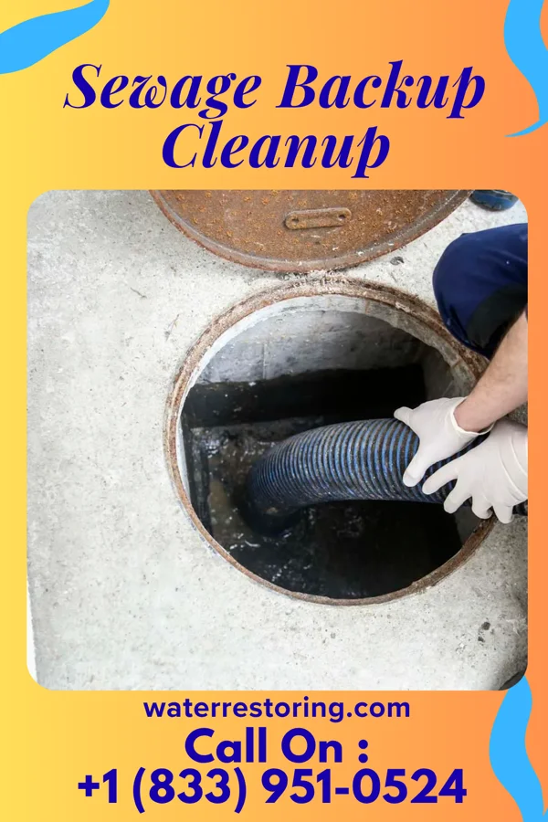 Sewage Backup Cleanup in El Paso, TX